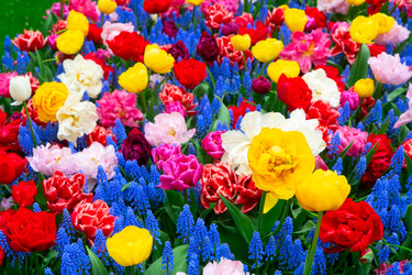 Similar image 22422477