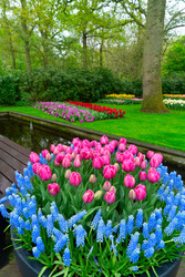 Similar image 22422478