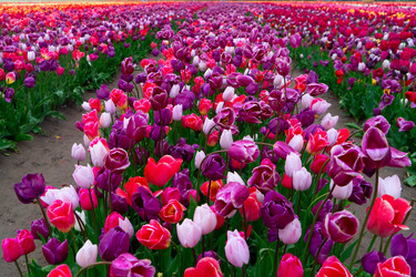 Similar image 22422479