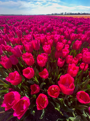 Similar image 22422480