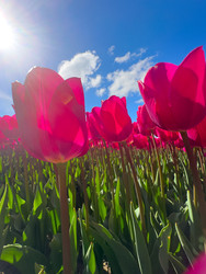 Similar image 22422481