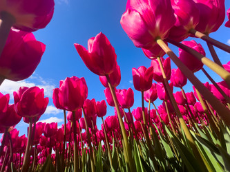 Similar image 22422482