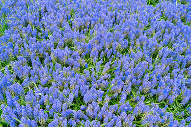 Similar image 22422483