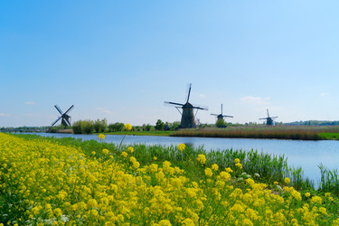 Similar image 22422515