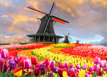 Similar image 22422517