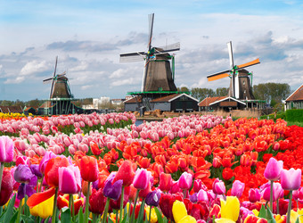 Similar image 22422518