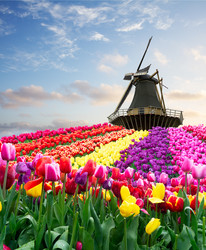 Similar image 22422519