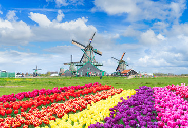 Similar image 22422520