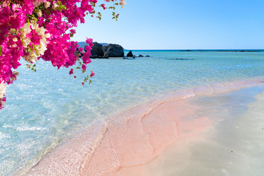 Similar image 22422530