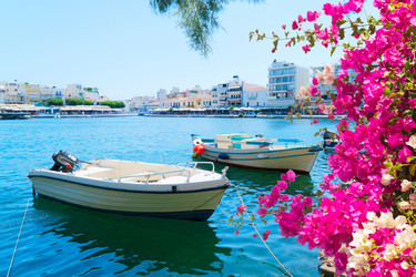 Similar image 22422540