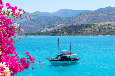 Similar image 22422545