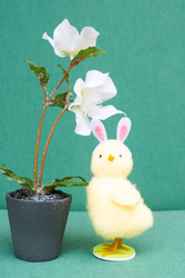 Similar image 22422569