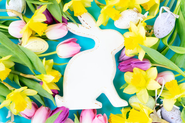 Similar image 22422599