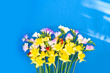 Similar image 22422601