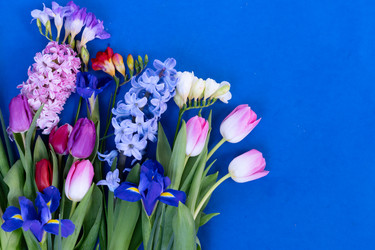 Similar image 22422603