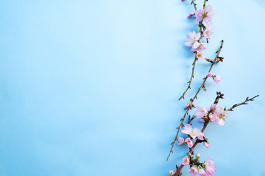 Similar image 22422618