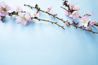 Similar image 22422619