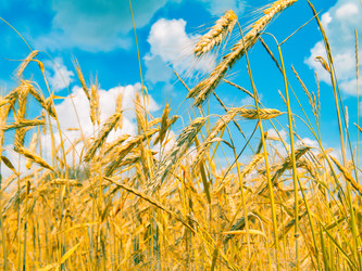 Similar image 22422620