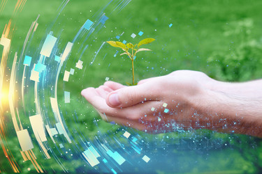 Similar image 22422626