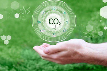 Similar image 22422628