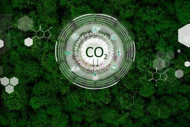 Similar image 22422634