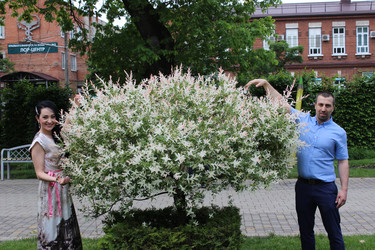 Similar image 22459239