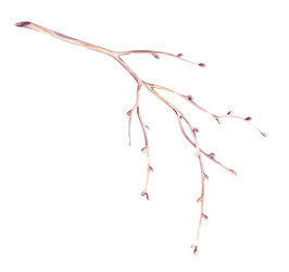 Similar image 22418998