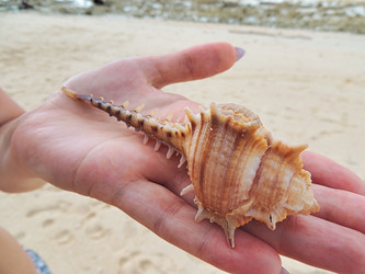 Similar image 22403364