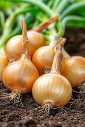 Similar image 22422678