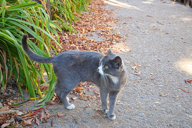 Similar image 22442700