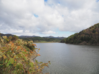 Similar image 22418906