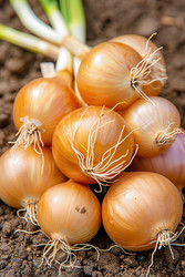 Similar image 22422700