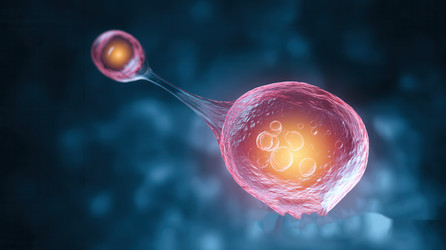 Similar image 22422741