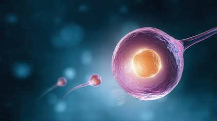 Similar image 22422797