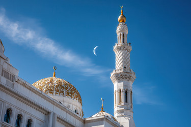 Similar image 22422802