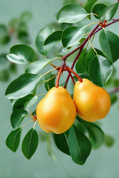 Similar image 22422826