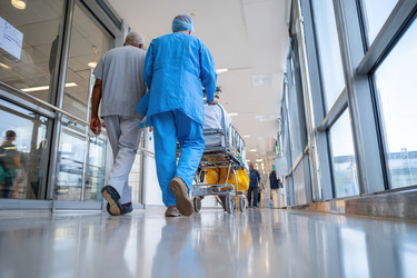 Similar image 22422829