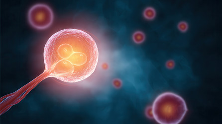 Similar image 22422845