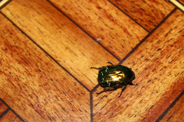 Similar image 22452267