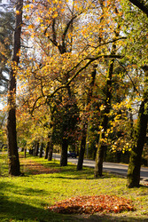 Similar image 22403380