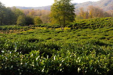 Similar image 22403381