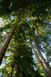 Similar image 22403385