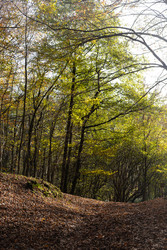 Similar image 22403389