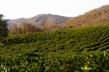 Similar image 22403391