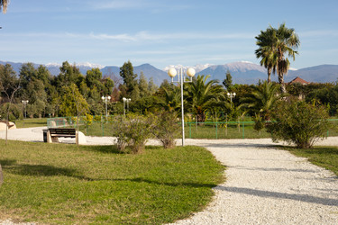 Similar image 22403392