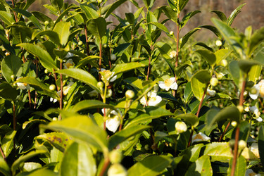 Similar image 22403394