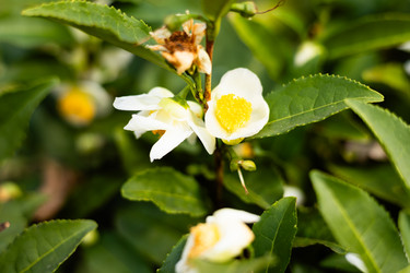 Similar image 22403397