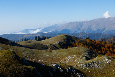 Similar image 22403398