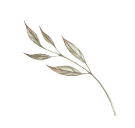 Similar image 22419011