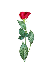 Similar image 22443873